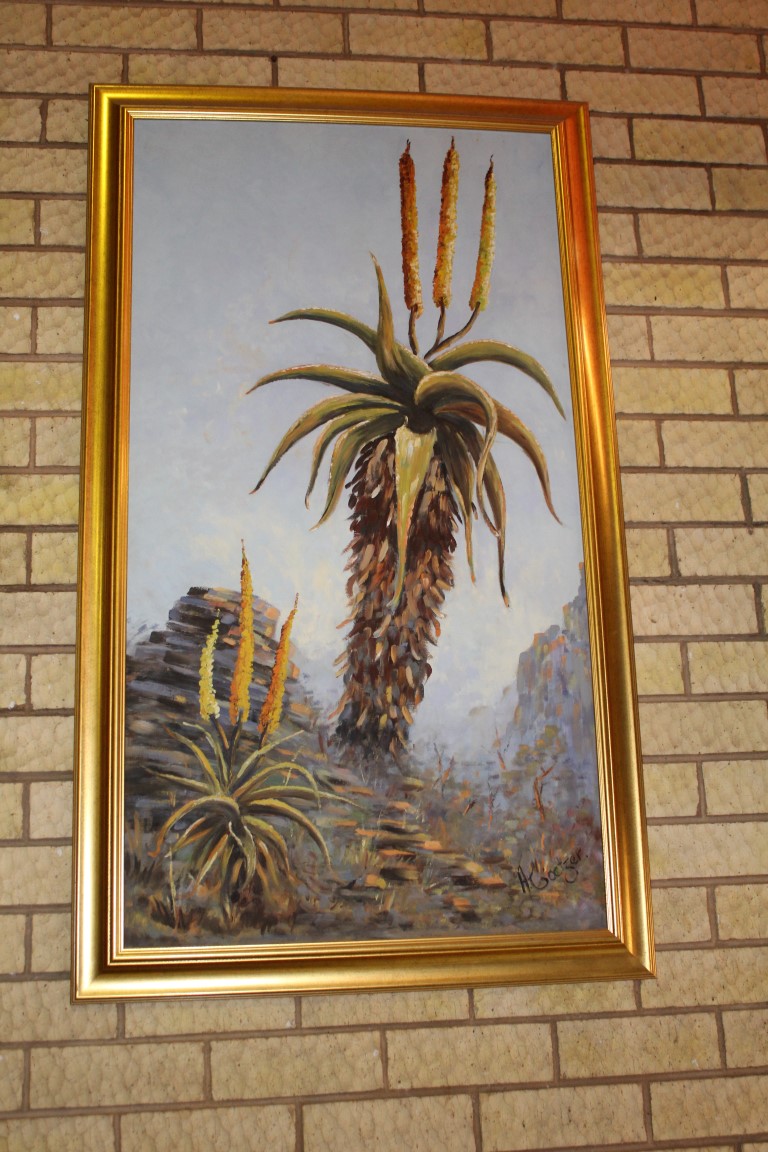 IMG_5077 (Medium)