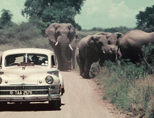 KNP Motoring in the fifties