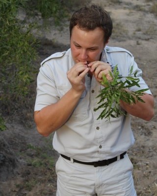 Sven Branders