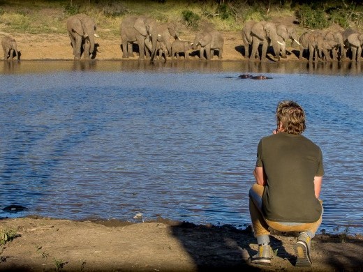 Pic Nkombe Rhino (Small)