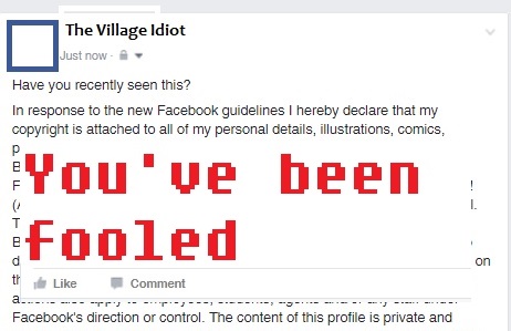 Village Idiot2