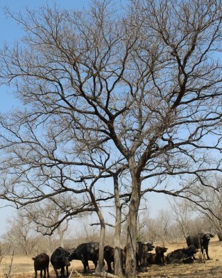 IMG_2903 (Small)