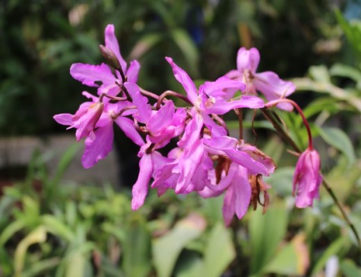 IMG_3179 (Small)