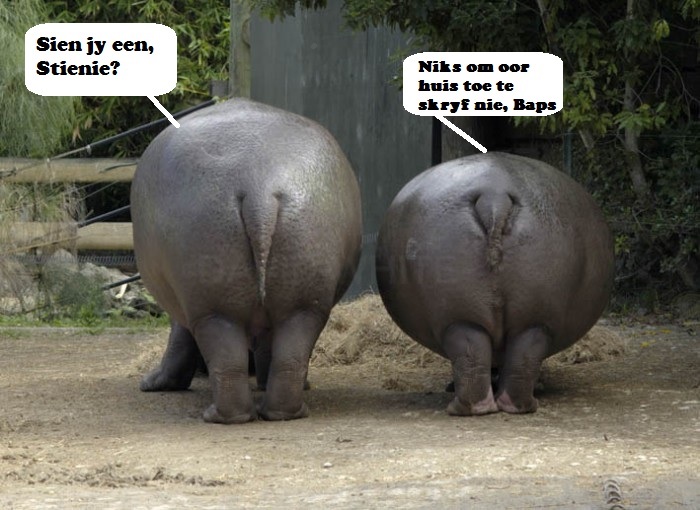 Stienie en Baps