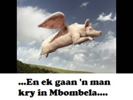 pigs can fly