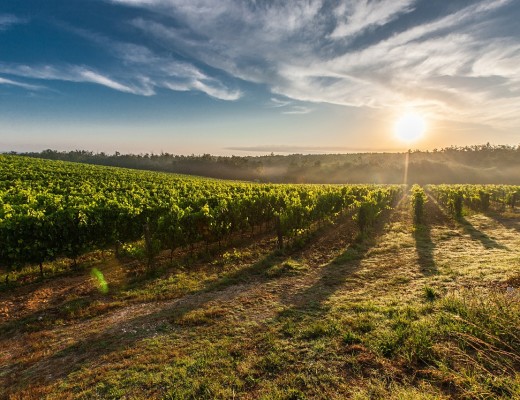 tuscany-428041_1280