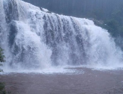 Forest Falls Photograph Nicolene Botha