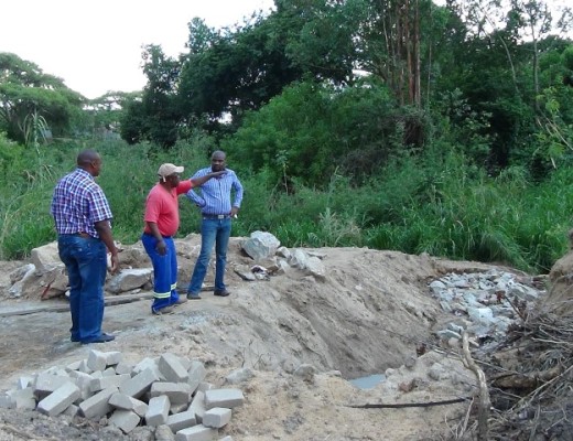 Die Bergvlam-vleiland sal nooit weer dieselfde wees na die storting van bourommel nie.