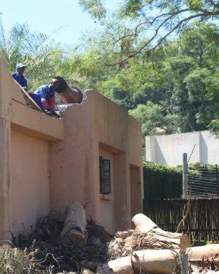 Herstelwerk aan die dak en restaurant van Chimp Eden is reeds onderweg na 'n storm skade aangerig het tien dae gelede.