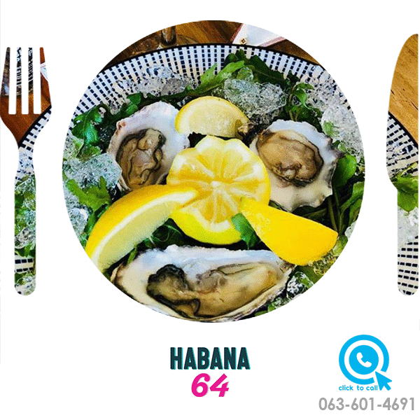 HABANA 64 GIF