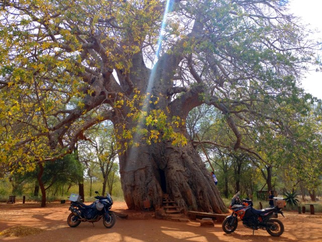 Come fly the coop with Alicia to the tiny town of Leydsdorp | Lowvelder