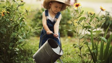 Skills your child should have by age five