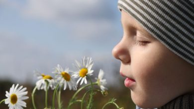 Sensory integration dysfunction explained