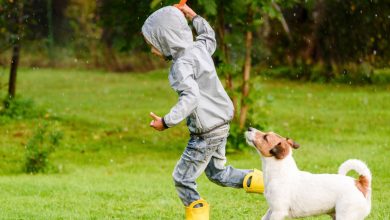 Why your child should play outside every day