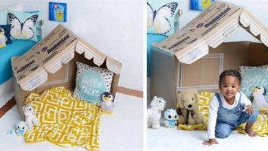 This adorable box house will be a hit with your kid!