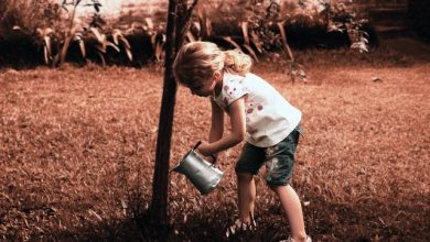 How to make sure your child’s new tree grows strong and tall!
