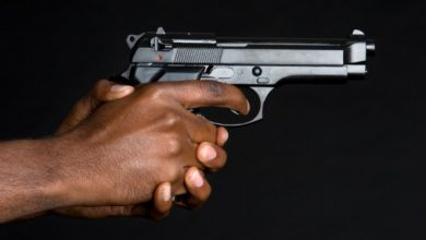 gun3