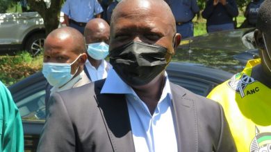 DD Mabuza voting