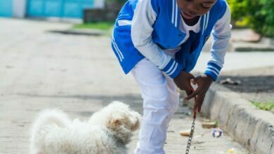 How to raise a kind and compassionate child