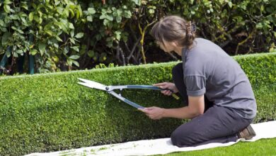 Alice Coetzee - 12-8-2022- gardening- pruning -photo 1