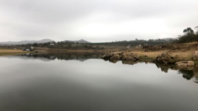 F6682A1F-ED91-44C3-A635-38AC03D0ED9D-Large