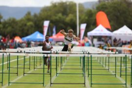 IMG_7420 - Copy (Medium)