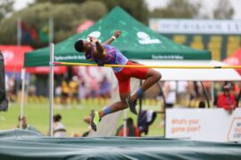 IMG_8004 - Copy (Medium)