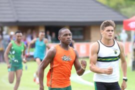 IMG_8508 - Copy (Medium)