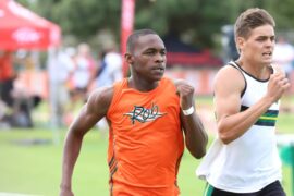 IMG_8512 - Copy (Medium)