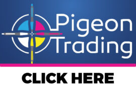 PIGEONTRADING16NMT