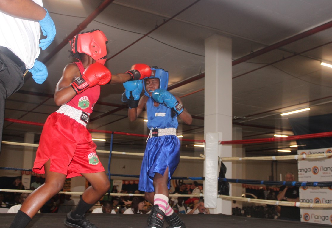 Sabda Boxing PHOTOS: Successful boxing championships hosted in Mbombela | Lowvelder
