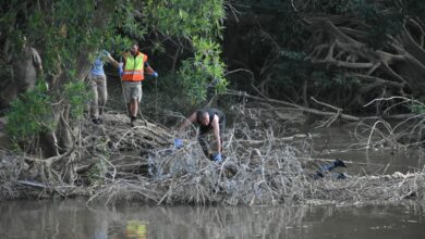 The Ehlanzeni Police Diving Unit work to free the body from some branches in the Crocodile River. > Photo: Chelsea Pieterse