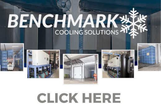 BENCHMARK THUMBNAIL NH