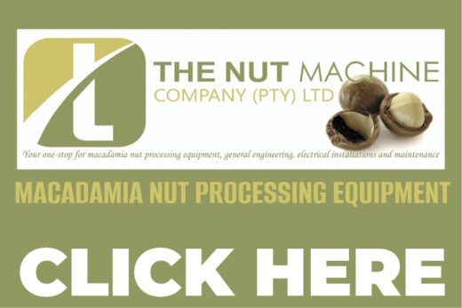 THE NUTMACHINE THUMBNAIL NH