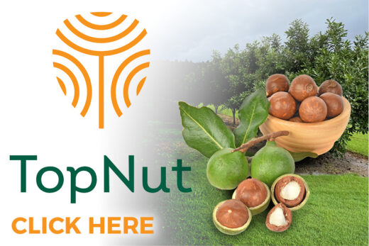 TOP NUT THUMBNAIL NH