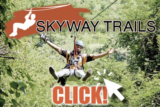 Skyway Trails Tn W50 NI