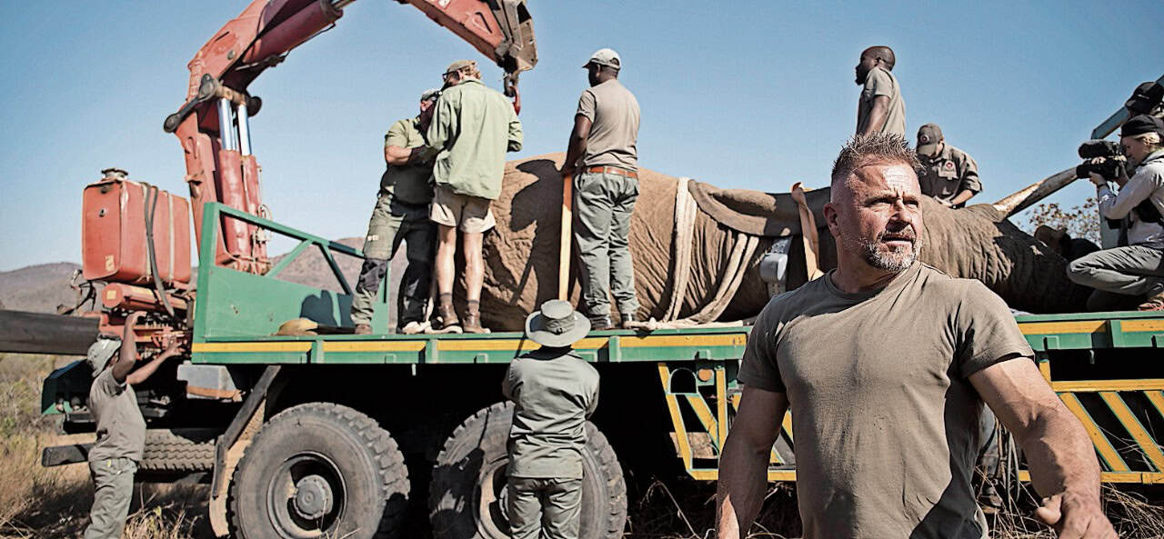 MTPA’s Chris Hobkirk during the relocation from Barberton Nature Reserve.