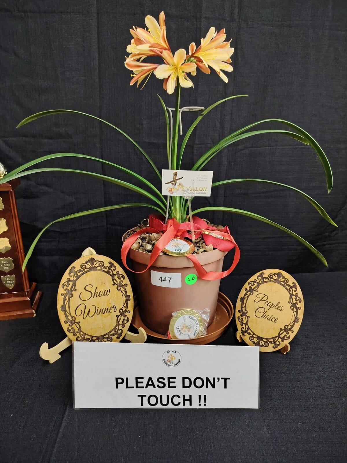 Winner of Best in Show and People’s Choice.