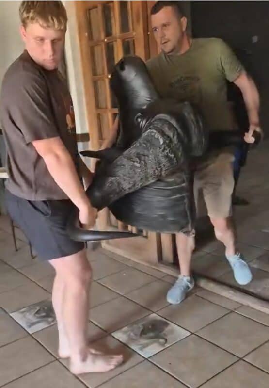 "Trane het geloop toe die buffel se kop vir die laaste keer by die hotel se voordeur uitgedra is