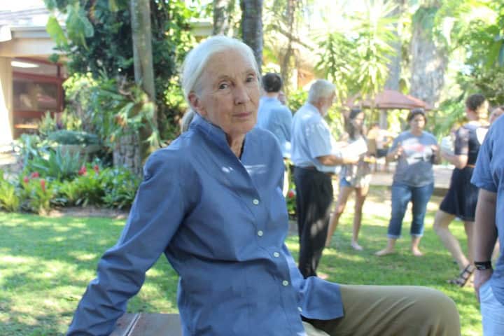 Jane Gooddall. > Photo: Archives