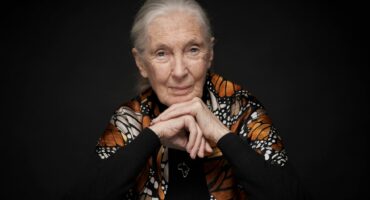 Jane Goodall. > Photo: Facebook/Vincent Calmel