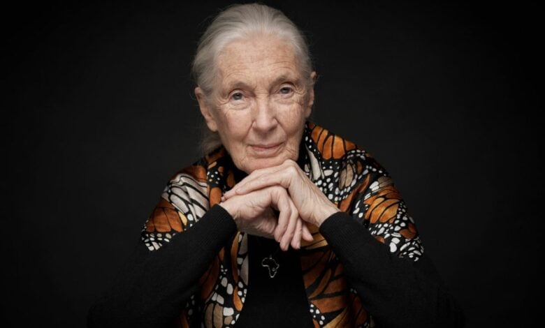 Jane Goodall. > Photo: Facebook/Vincent Calmel