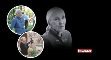 Jane Gooddall. > Photo: Archives