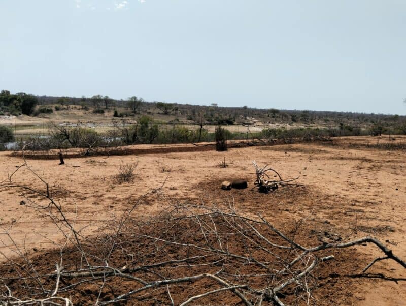 Sekelbos is used to protect the sown area.