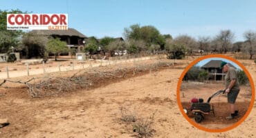 A section of parkland being rehabilitated by the honorary rangers. INSET: Frikkie Pretorius hard at work on the parkland. > Photos: Facebook/Marloth Park Honorary Rangers