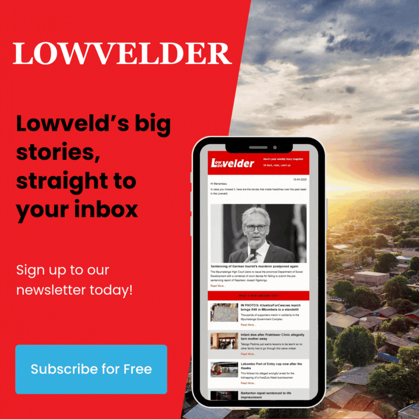 Subscribe To Our Newsletter.