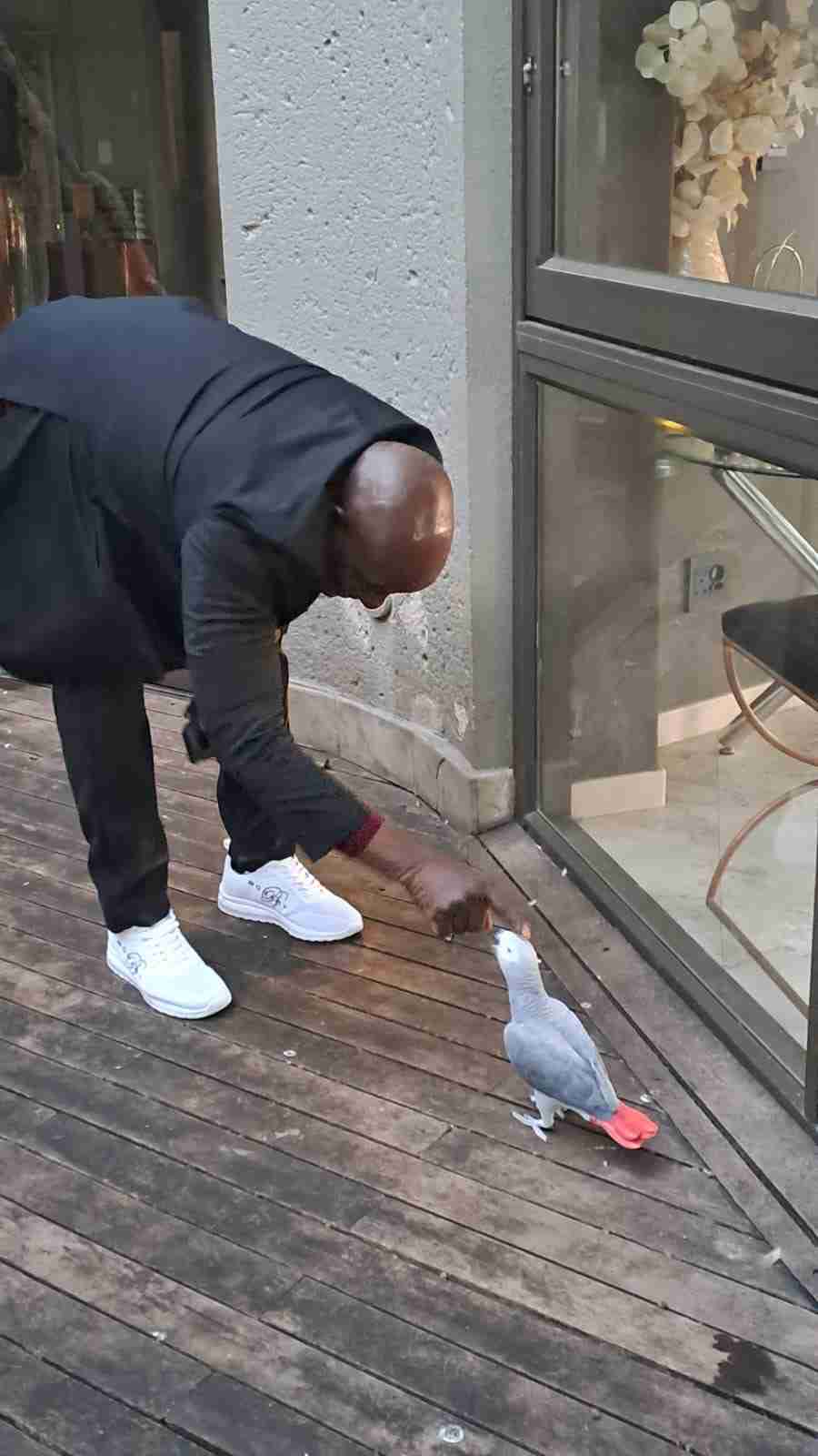 Obert Ntuli interacts with Zippy.