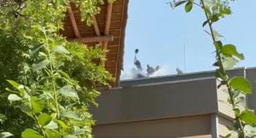 A screenshot of a video capturing staff battling the blaze. > Photo: Facebook/Christine McLaren