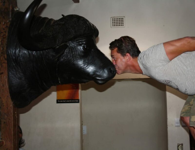 Die buffelkop is Saterdag verwyder.