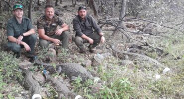 Günter Nowak (veterinarian), Chris Hobkirk, and Gait-Jan Sterk from the Friends of Wildlife Management. > Photo: Sourced/Facebook